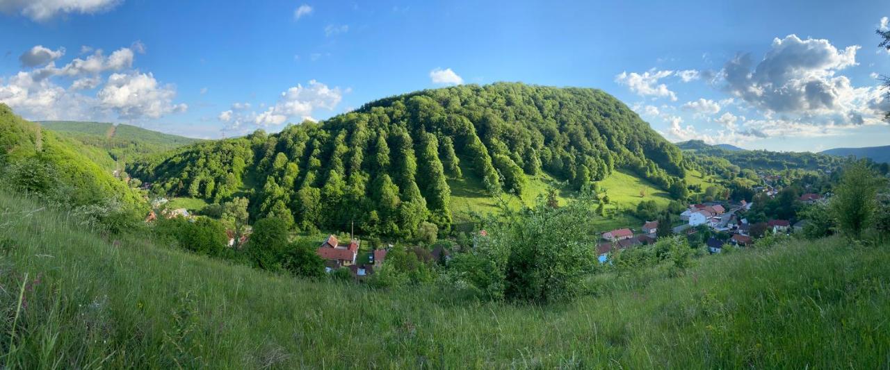 Pensiune Muntii Aninei Anina Exteriér fotografie