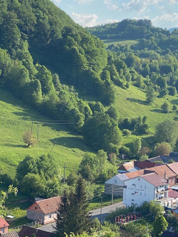 Pensiune Muntii Aninei Anina Exteriér fotografie